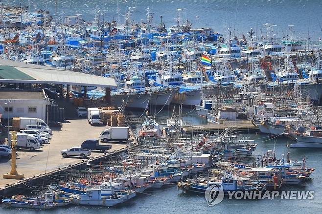 지난 18일 태풍 난마돌 북상으로 서귀포항에 대피한 어선들 [연합뉴스 자료사진]