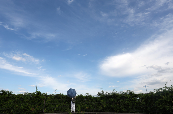 지난 20일 오후 서울 마포구 하늘공원을 찾은 외국인이 가을 풍경을 즐기고 있다. 〈사진=연합뉴스〉