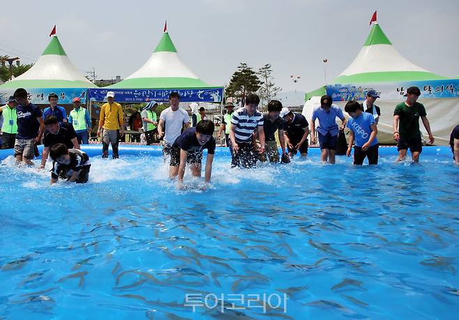 밀양아리랑대축제 은어잡이 체험