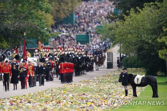 조랑말 엠마는 추모객들이 가져온 꽃다발이 놓인 잔디밭에 서서 여왕을 배웅했다. AFP연합뉴스