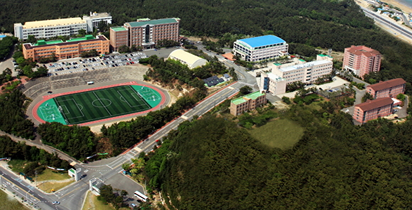 포항대학교 전경