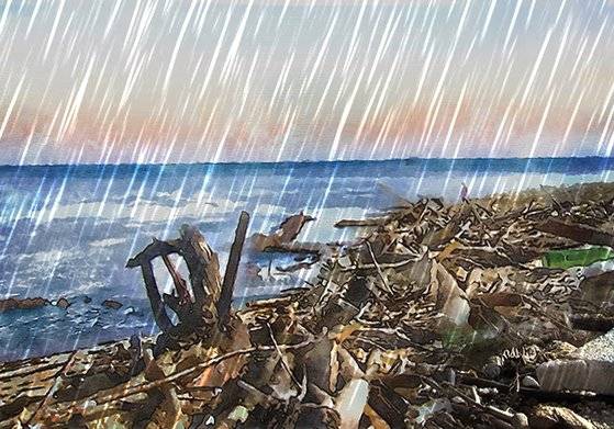 일러스트 = 김지윤 기자 kim.jeeyoon@joongang.co.kr