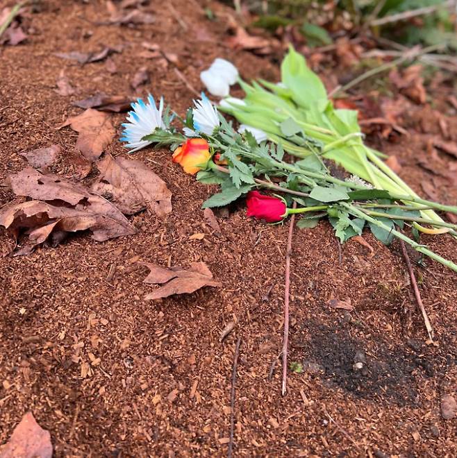 /사진='리턴 홈' 인스타그램