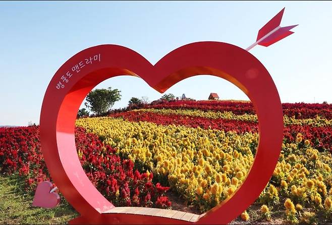 맨드라미 공원 [신안군 제공·재판매 및 DB 금지]