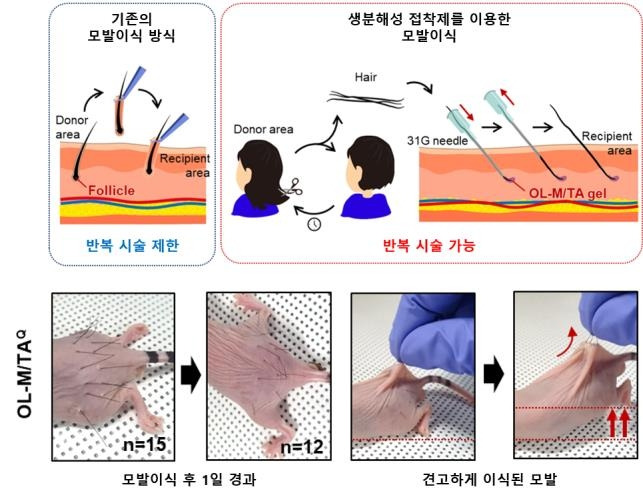 연구 성과 모식도 [한국과학기술원(KAIST) 제공. 재판매 및 DB 금지]