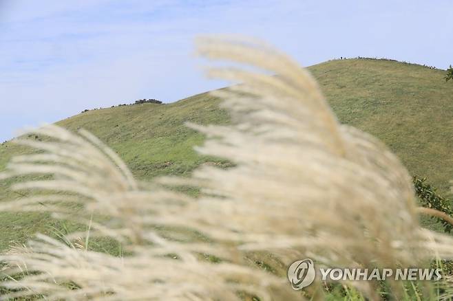 '좋다, 제주의 가을' (제주=연합뉴스) 박지호 기자 = 21일 오후 제주시 애월읍 새별오름을 찾은 관광객들이 청량한 가을 날씨를 즐기고 있다. 2022.9.21 jihopark@yna.co.kr