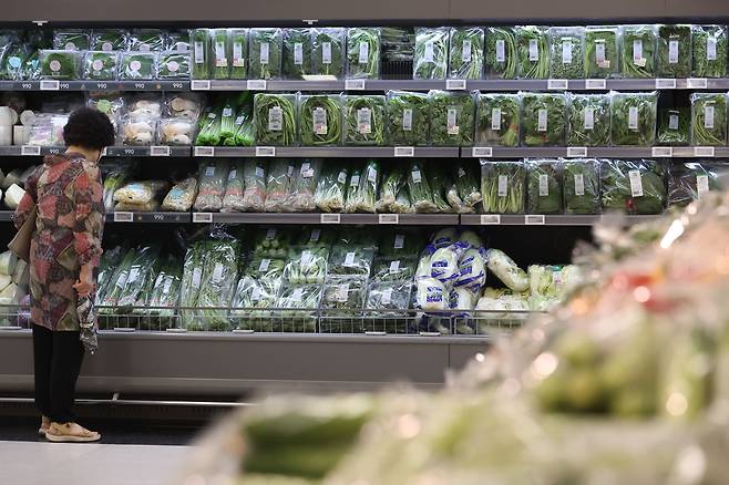 21일 서울의 한 대형마트에서 쇼핑객이 장을 보고 있다. 4인 가구 기준 김장재료 소비자 가격은 2017년 24만원에서 지난해 32만4000원으로 35% 올랐다. /연합뉴스