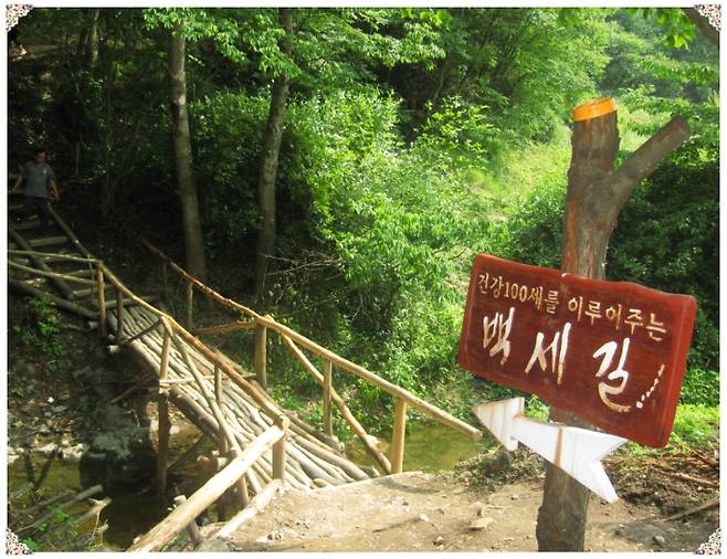 백세길. 강종임 해설사 제공