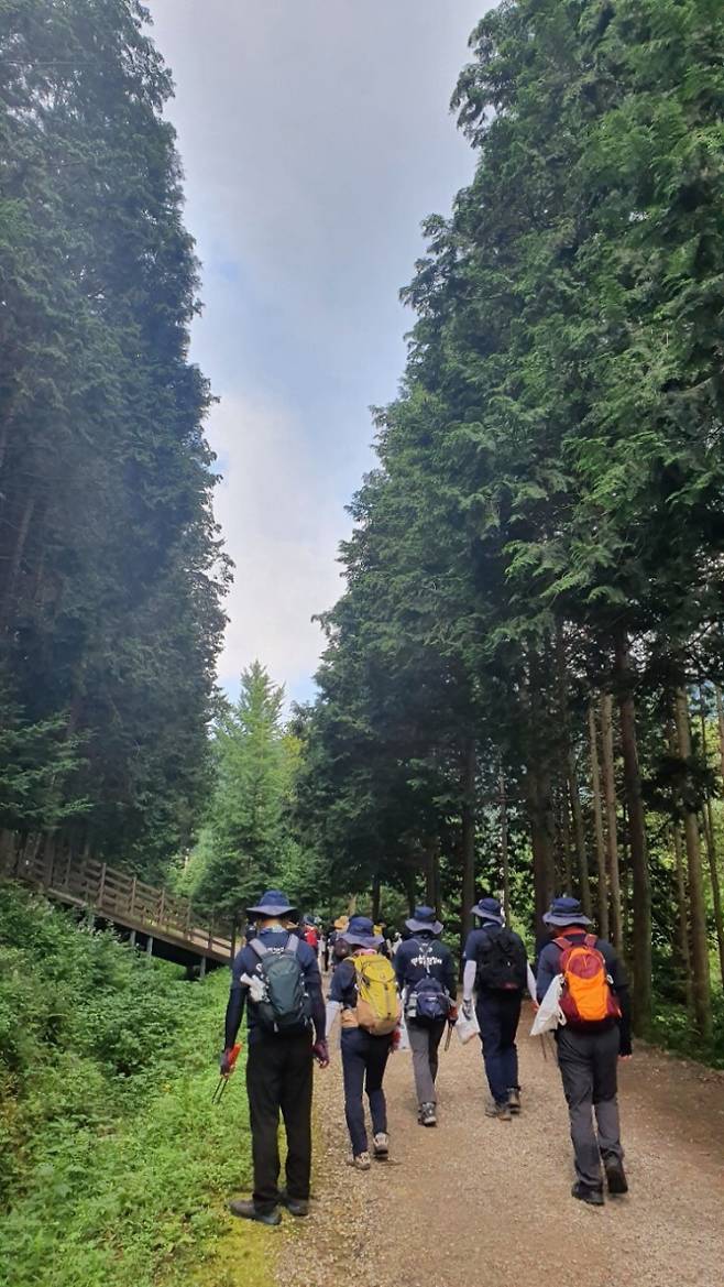 치유의 숲 입구. 강종임 해설사 제공