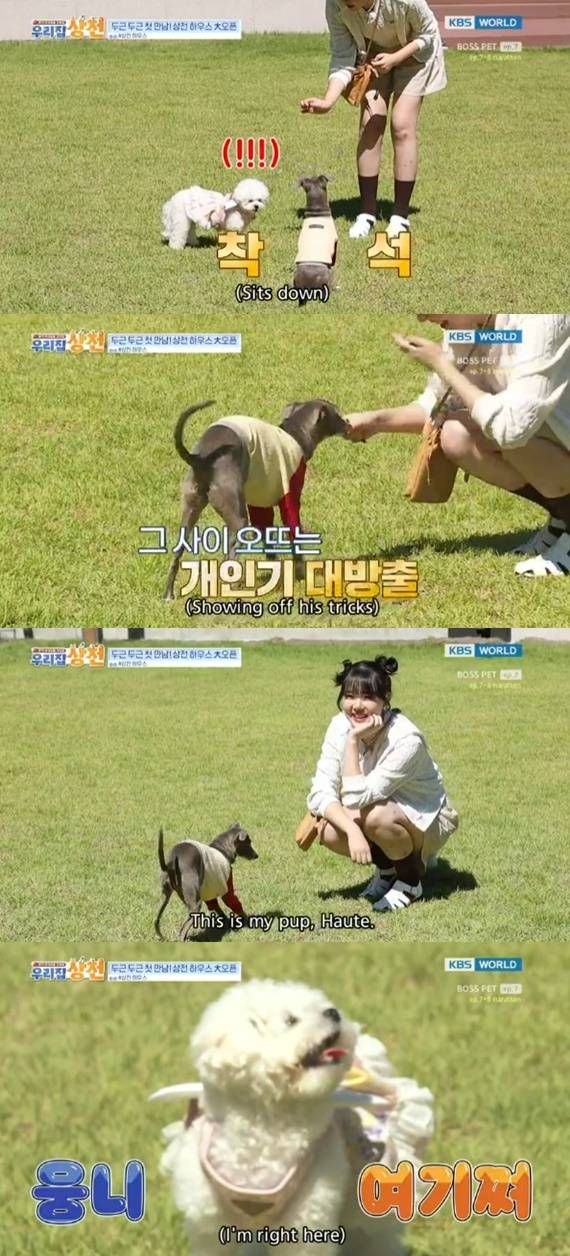 KBS WORLD '우리집 상전' 캡처