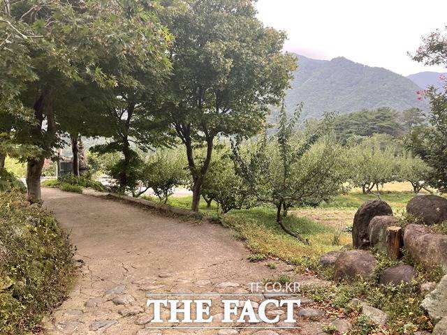 정지아 작가는 전남 구례 지리산 능선이 보이는 한적한 곳에 어머니와 함께산다. 가는 길, 눈에 보이는 곳이 모두 해방이고 자유다. /지리산 =김도우 기자