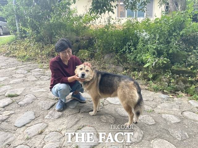 정 작가는 고향 구례에 내려와 구순이 넘은 어머니와 단둘이 산다. 집에는 고양이 3마리, 개 1마리와 같이 지낸다. 유일한 친구이다./지리산 =김도우 기자