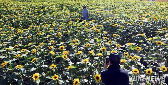 고석정 꽃밭 입장료는 성인기준 6천 원(청소년 4천원, 어린이 2천원 권)이지만, 3천 원권(청소년과 어린이 2천원 권) 철원사랑 상품권을 거슬러 주기 때문에 실제로는 3천원인 셈이다.