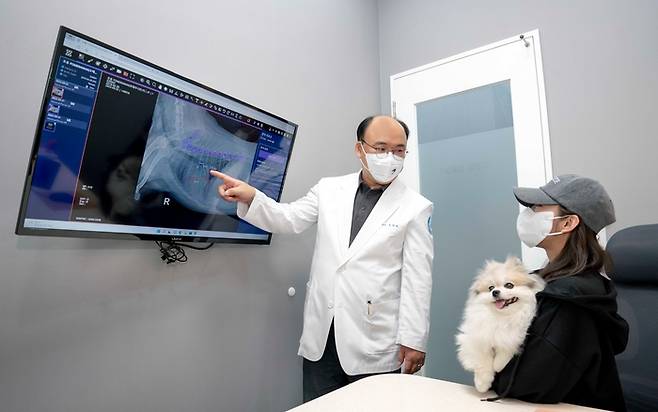 오이세 스카이동물메디컬센터 원장이 진료실에서 ‘엑스칼리버’를 통해 분석한 반려견의 엑스레이사진을 설명하고 있다.  |SKT