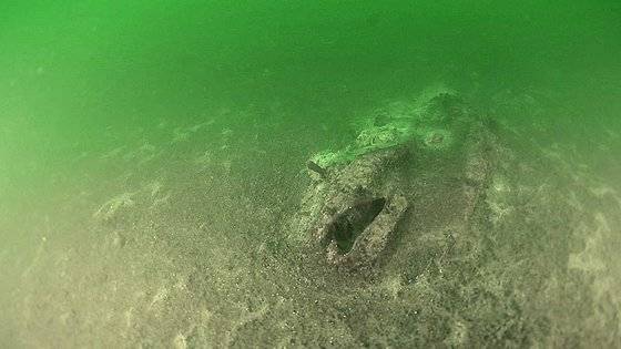 남해 진해만의 빈산소 발생 해역을 수중 카메라로 촬영한 모습. 사진 김일남 인천대 교수