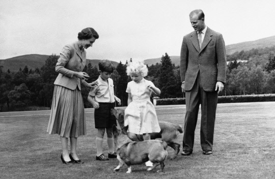여왕 가족이 1955년 발모랄 영지에서 코기와 어울리는 모습. <AP=연합뉴스>