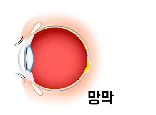 출처:게티이미지 뱅크