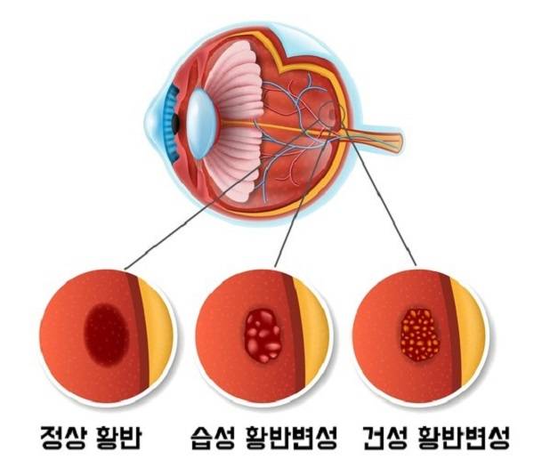 출처:게티이미지 뱅크