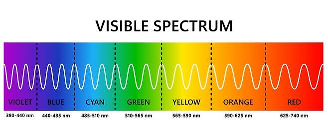 가시광선 중 보라색과 파란색을 내는 빛을 통틀어 블루라이트라고 한다ㅣ출처: 게티이미지뱅크