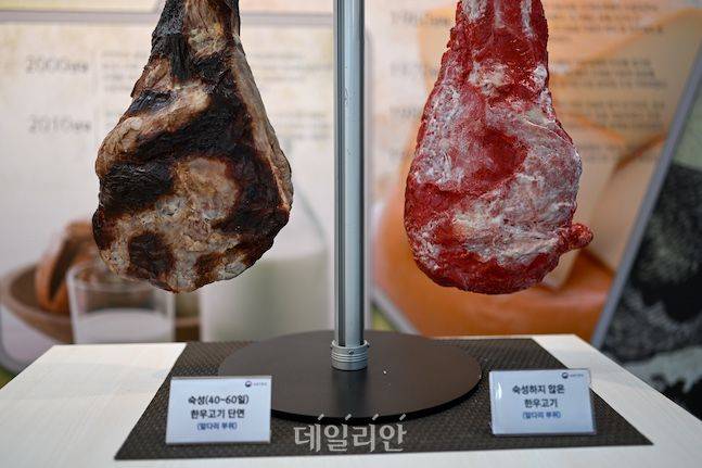건식숙성된 한우(왼쪽)은 표피가 검은색이다. 이 검은색 표피를 겉어내면 미생물로 숙성된 부드럽고 풍미 가득한 쇠고기가 자리 잡고 있다. ⓒ배군득 기자