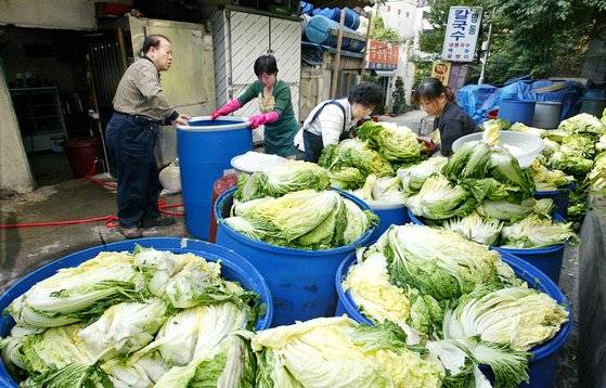 2005년 중국산 기생충 김치 파동으로 김치에 대한 불신이 심해지자 식당들이 국산 김치만 사용한다는 안내문을 내거는 등 손님 잡기에 안간힘이다. 서울 중구의 한 식당에서 배추김치를 담그고 있다. 중앙포토