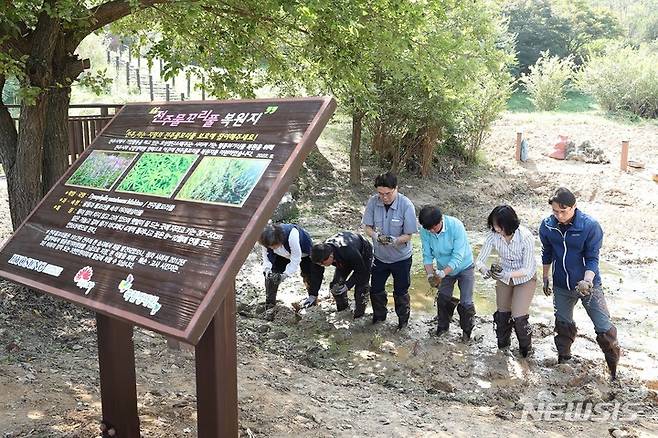 [서울=뉴시스]효성첨단소재는 29일 전주시, 국립생태원과 함께 전주시 기린공원에서 멸종위기 야생생물 2급인 ‘전주물꼬리풀’ 식재 행사를 진행했다고 밝혔다. 효성첨단소재, 전주시, 국립생태원 직원들이 전주물꼬리풀 식재 작업을 하고 있다.(사진=효성첨단소재 제공) 2022.9.29 photo@newsis.com