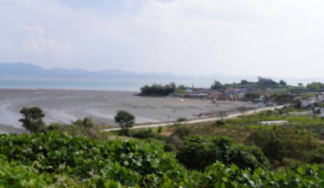 갯벌체험장. 부안군 제공