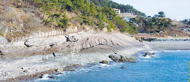 모항 갯벌 체험길. 전북도 제공