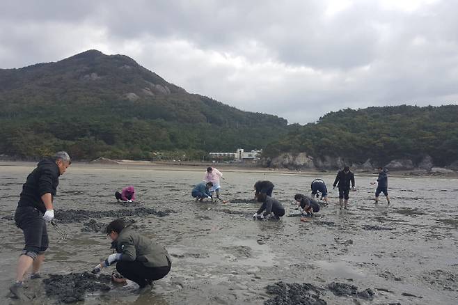 갯벌체험. 부안군 제공