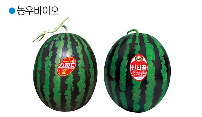 스피드꿀 / 산타꿀.