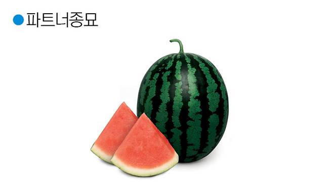 피엠알아이조온.