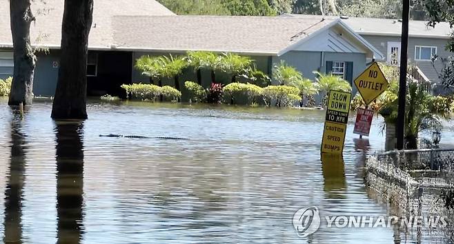 강으로 변한 마을의 도로 위에서 떠다니는 악어 (올랜도[미 플로리다주] EPA=연합뉴스) 2022년 9월 30일(현지시간) 허리케인 이언이 몰고온 폭우로 침수된 플로리다 올랜도의 한 마을에서 악어가 물에 잠긴 도로 위를 지나고 있다. 2022.10.1