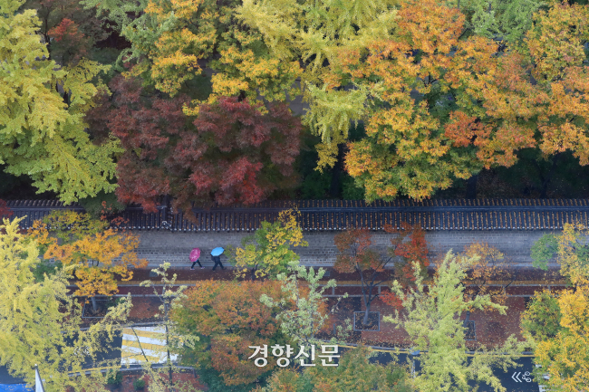 가을비가 내린 2018년 10월 26일 오전 시민들이 우산을 쓰고 서울 중구 덕수궁 인근 돌담길을 걷고 있다. 경향신문 자료사진.