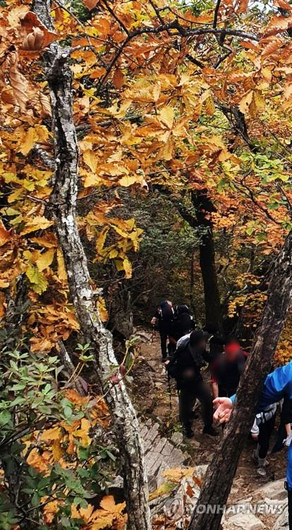 단풍 물드는 설악산…휴일 산행
    (속초=연합뉴스) 휴일인 2일 단풍이 물들어 가는 설악산을 찾은 등산객들이 산행을 즐기고 있다.
    2022.10.2
    [독자제공. 재판매 및 DB금지]
    momo@yna.co.kr
(끝)