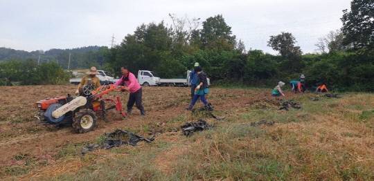 사진=영동군 제공