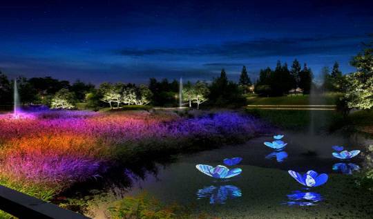 천안온천중앙공원 경관조명 조성사업 이미지. 사진=천안시 제공