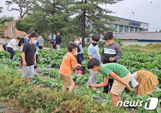 4일 전북 임실군 지사초등학교에 등교한 서울지역 학생들이 체험학습을 하고 있다.(전북교육청 제공) 2022.10.4/뉴스1