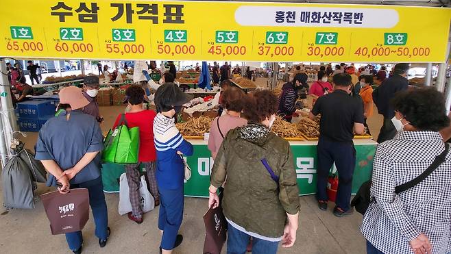 강원홍천 인삼·한우 명품축제 [연합뉴스 자료사진]