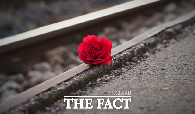 광주 경신여고에서 일어난 2학년 여고생 자살은 학교의 무관심과 방치가 한 여학생을 죽음으로 내몰았다는 정황이 드러나고 있어 충격을 안겨주고 있다./픽사베이 갈무리