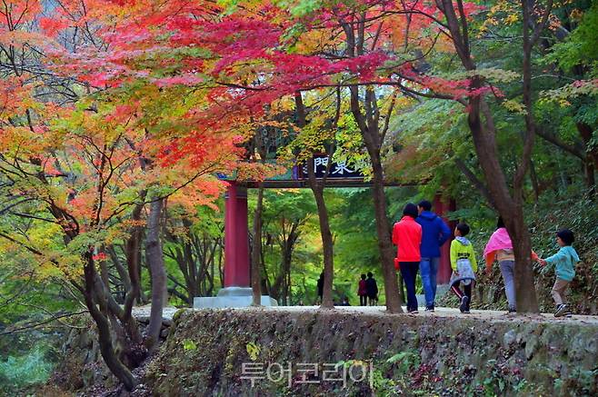 지난해 순창 강천산 단풍