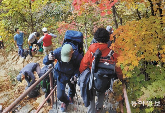 매년 이맘 때면 단풍을 즐기기 위해 등산을 하는 사람들이 늘고 있다. 무리한 산행은 몸을 해칠 수 있기 때문에 조심하는 것이 좋다. 동아일보DB