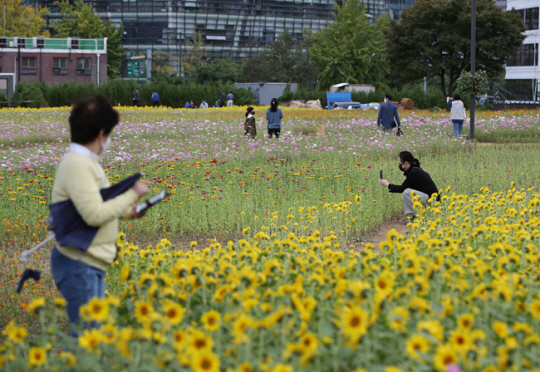 6일 임시 개방된 서울 종로구 송현동 부지 녹지광장에서 시민들이 야생화를 배경으로 사진을 찍고 있다. 뉴시스