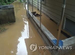 올 여름 집중호우로 침수된 경기도의 한 중학교 [경기도교육청 제공. 재판매 및 DB금지]