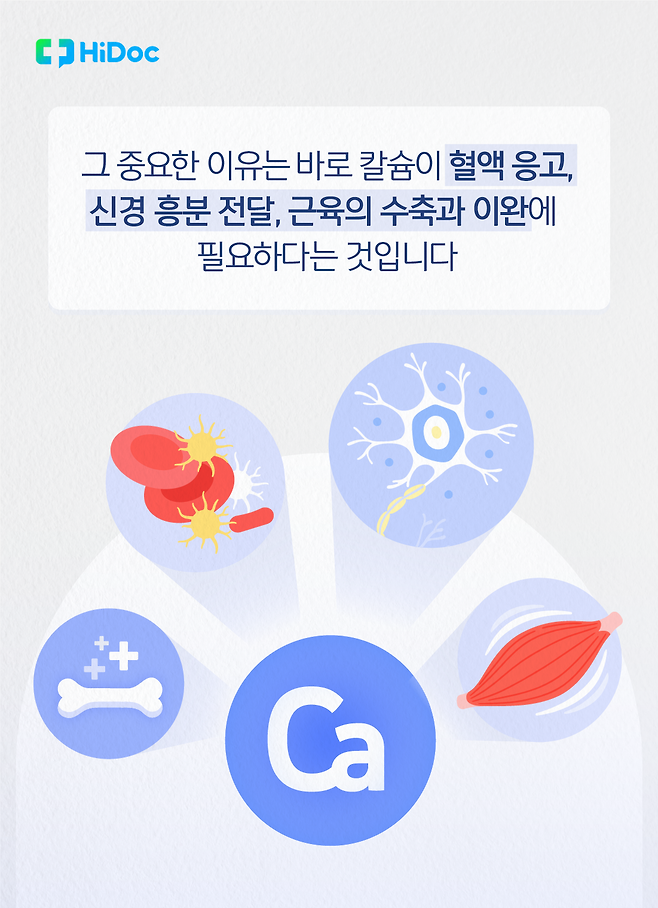 우리가 칼슘을 먹어야 하는 이유 2부 (발 칼슘 효능, 칼슘 섭취, 칼슘 섭취 리뷰, 칼슘 보충 조언, 비토피아 칼마디) 5