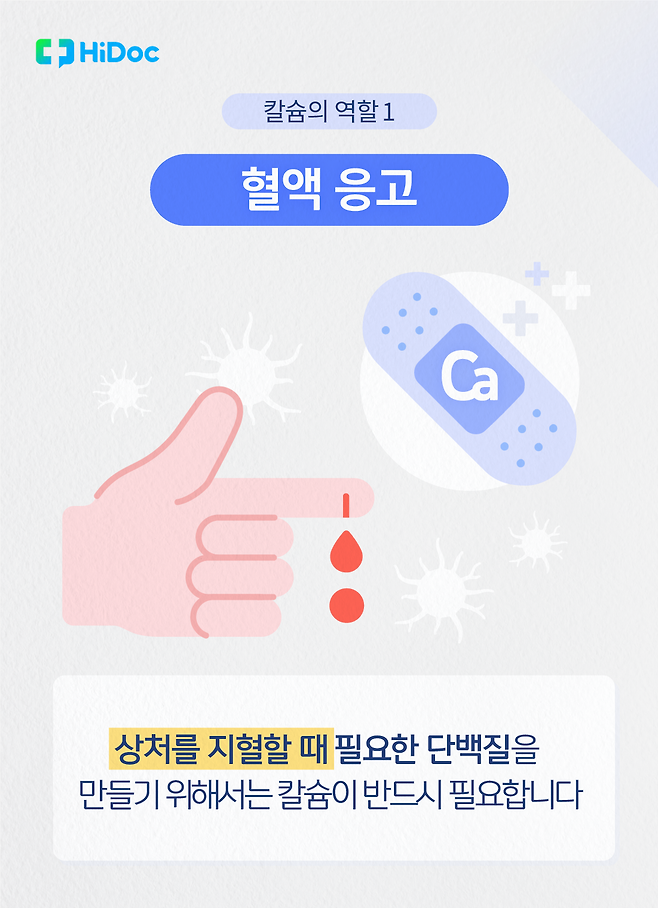 우리가 칼슘을 먹어야 하는 이유 2부 (발 칼슘 효능, 칼슘 섭취, 칼슘 섭취 리뷰, 칼슘 보충 조언, 비토피아 칼마디) 3