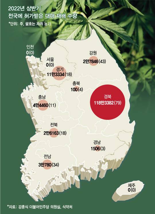 /사진=김현정 디자이너