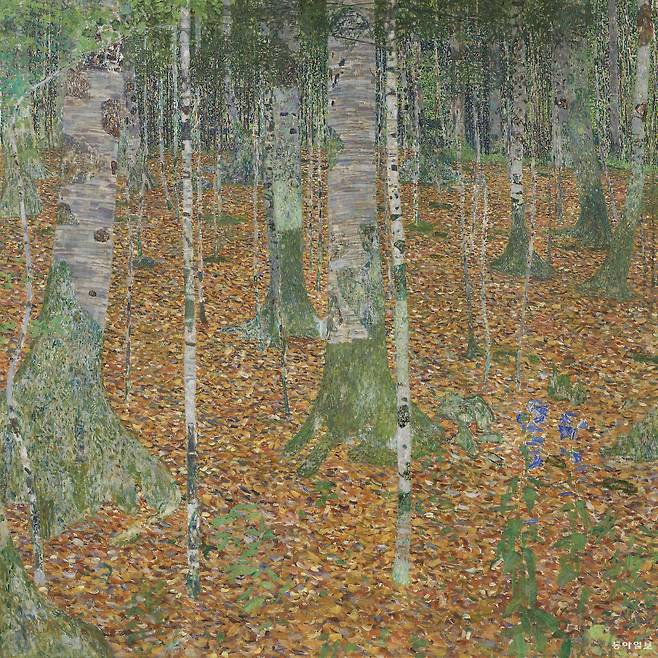 구스타프 클림트, 자작나무 숲, 1903년, 110.1 x 109.8cm. 사진: 크리스티