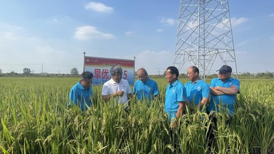 Photo shows that agricultural expert is introducing water-saving and drought-resistant rice to event participants. (PRNewsfoto/Xinhua Silk Road)