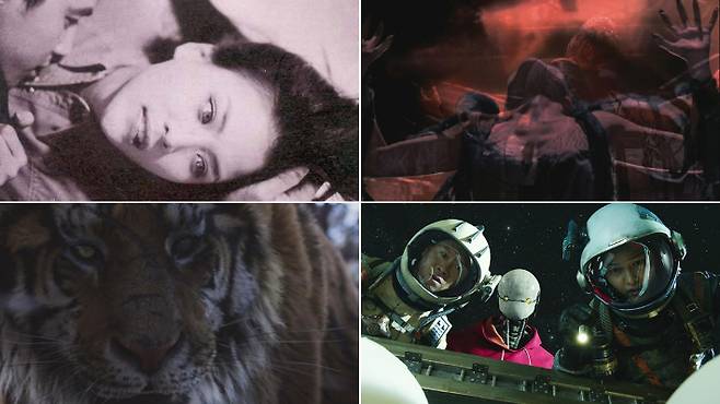 (왼쪽 위부터 시계 방향으로) VFX를 활용한 영화 '구미호' '퇴마록' '승리호' '대호' 스틸컷. 각 배급사 제공