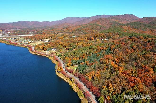 [수원=뉴시스]수원 광교저수지 수변 산책로와 광교산 자락이 가을철 오색 단풍으로 뒤덮인 모습.